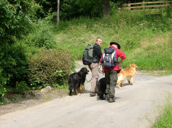 Een lichte klim langs de openbare weg.