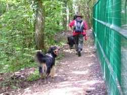 Hier de juiste kant van de omheining nemen.