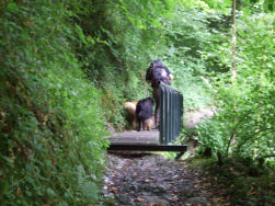 Dit smal pad op naar de burcht van Logne.