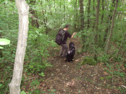 Een moeilijk te vinden pad, gewoon afdalen.