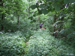 Dan maar door de wildernis onze weg zoeken.
