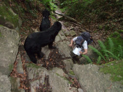 Even de hondjes helpen bij het afklimmen.