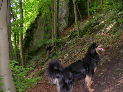 De volgende bergop, let U even op de helling!