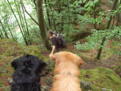 Euuuhhh, baas moeten wij hier naar beneden?