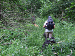 Ook hier weer is het pad verdwenen, gewoon naar boven.