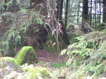 De natuur krijgt vrij spel...