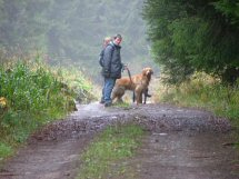 Waar blijft den baas?