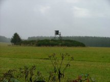 Nu mooi, vroeger symbool van de dood.