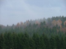 Duitsland of de Hoge Venen?