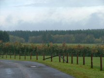 Landschap, bevroren in de tijd.