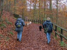 Op weg naar boven...