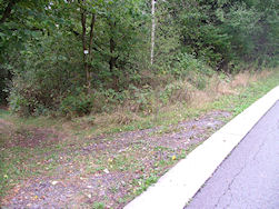 Dit is de afslag naar de menhir.