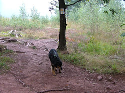 Op het einde van de klim, naar rechts.