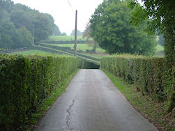 In laatste rechte lijn naar de eindmeet...
