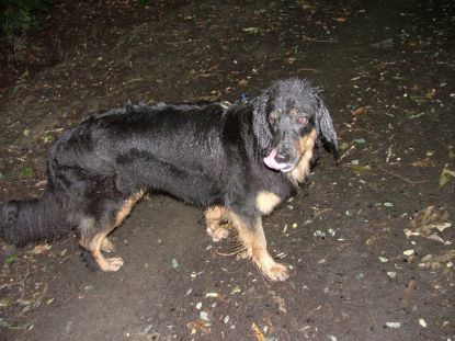 Een heel erg nat begin van de wandeling!!!