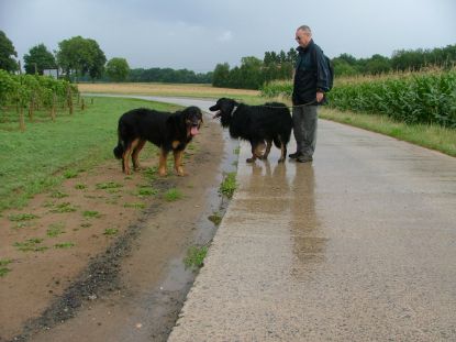 Gedaan met regenen, Links de druiven, rechts de mas.