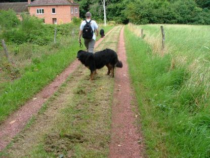 Hier moest Aiko even de boel gaan verkennen.