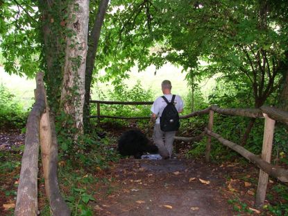 Trapje af, het bos uit.
