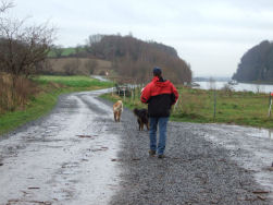 Het Albertkanaal op het einde van de Bovenstraat.