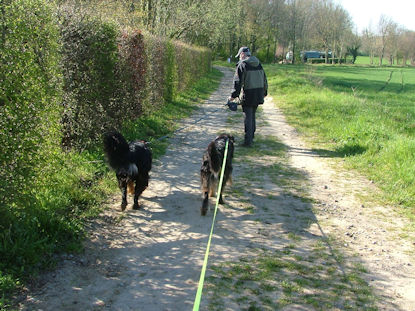 Start van de wandeling achter het kasteel.
