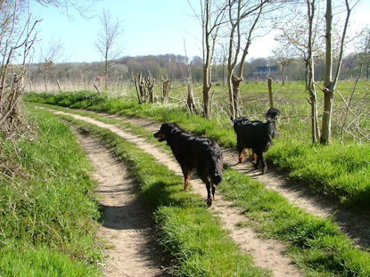 Pepper en B'Elanna genoten van hun vrijheid!