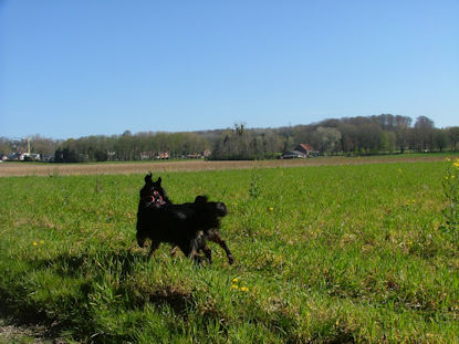 Voldoende ruimte om eens lekker los te gaan.