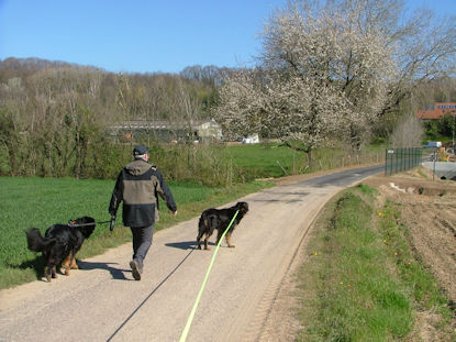 Bijna aan het halverwege punt.
