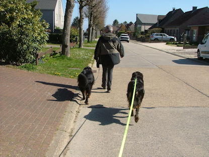 Het enigste stukje drukke baan.