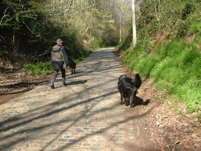 Een rustig kasseibaantje.