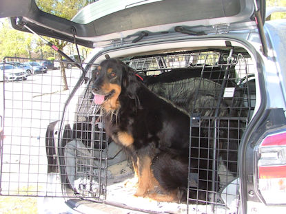 De familie of Loyalguards naar huis!