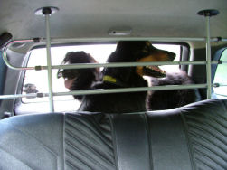 Dunja en Jadzea achter tralies, wachten op de wandeling.