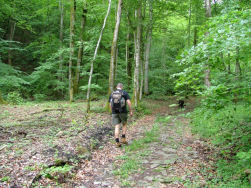 Alain neemt resoluut de kop...waar zijn die Hovatjes?