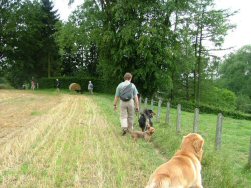 Allez baas, waar wacht ge op?