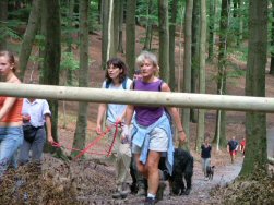 Col van eerste categorie.