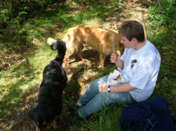 Tijd om de sandwiches boven te halen.