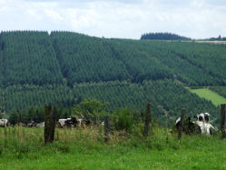Af en toe een prachtig open landschap.