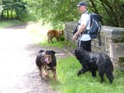 Sur le pont de Bi�vre.