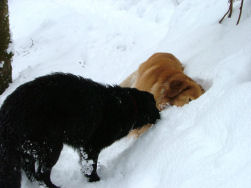 En? Is dat normaal Axel? Is dat nu zo plezant?