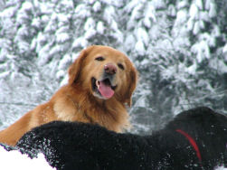 Het was weer leuk h� baas! Nog een rondje?