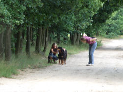 Grote kuis bij Matisse.