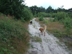 Bijna terug aan de wagen richting thuis...