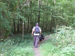 We duiken het bos in.