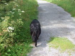 Dunja volgt het spoor...