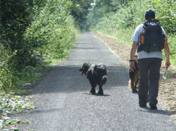 Na de eerste lus... de spoorwegbedding.