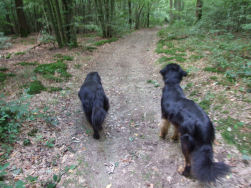 De verkeerde splitsing, wel de leukste!