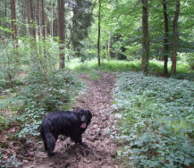 Eindelijk wat modder baas!