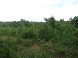 De eerste en enige "open" vlakte.