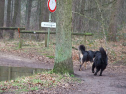 Lekker de bossen in.