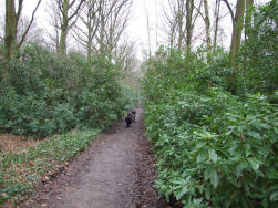 Het smalle laantje na het anti-tank kanaal.