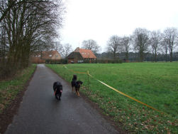 Ergens halverwege...